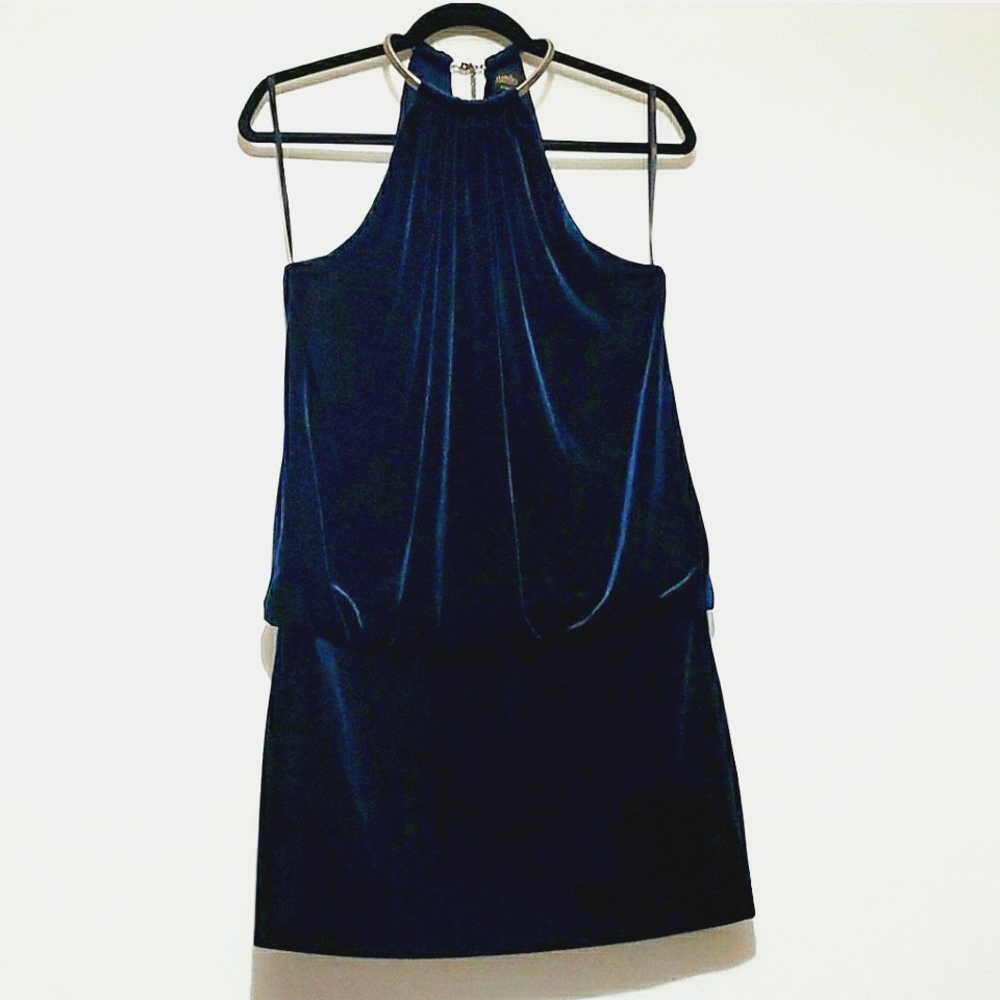 Velvet Laundry by Shelli Segal Sz 10